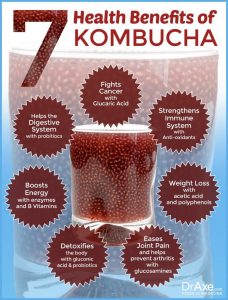 Health Benefits of Kombucha Infograph diagram